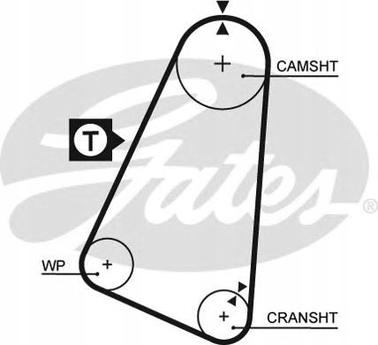 фото №9, Ремень распределительного вала gates 5030