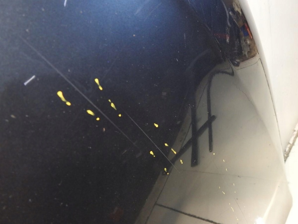 фото №6, Капот lk7x vw passat b6 lift