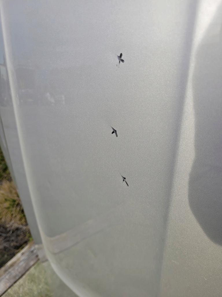 фото №5, Капот bmw x3 e83 2003-10