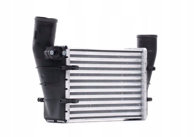 Ridex 468i0017 інтеркулер до vw passat variant 3b6 passat variant 3b5 Зі Шроту