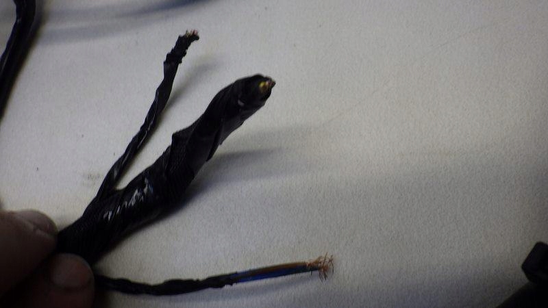 фото №3, Жгут электропроводка салона puma 1.5 tdci