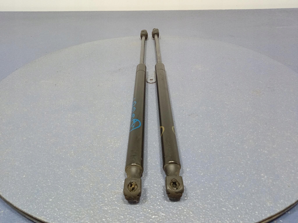 фото №4, Ford mustang mach-e амортизатори амортизатори капот 2 szt lj8br16c827ab