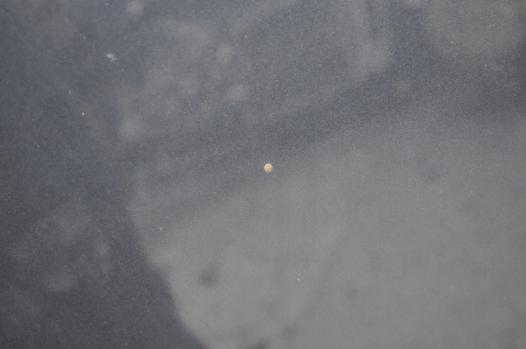 фото №8, Porsche 911 996 капот кришка відсік двигуна