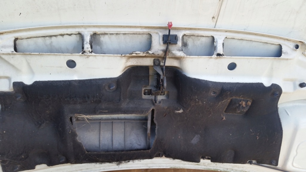 фото №10, Капот перед vw t4 transporter