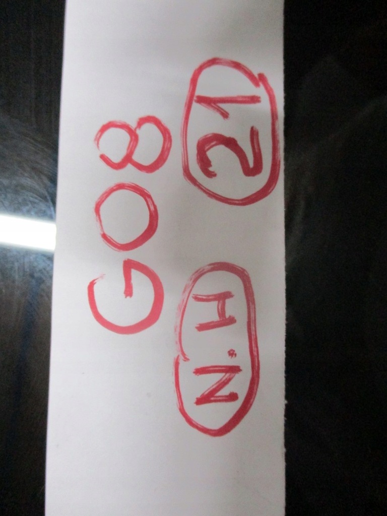 фото №11, Крыша панорама bmw x3 g08