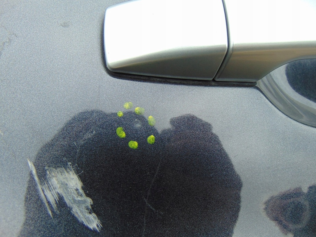 фото №6, Двері правий задня subaru forester iii