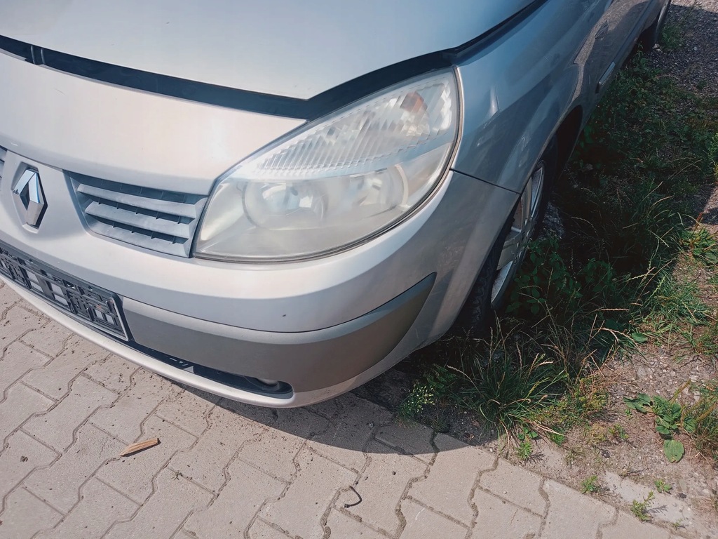 фото №1, Лампа лівий перед renault scenic ii 03-06 tea19