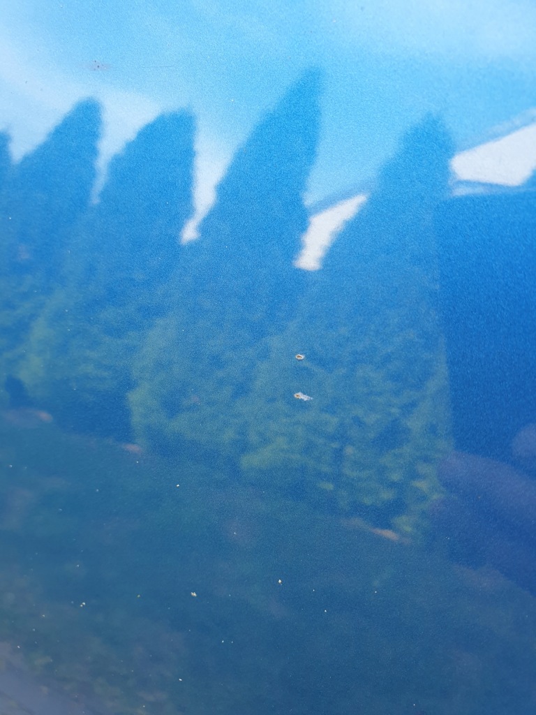 фото №7, Kia sportage iii дверь задняя задние левая 5b org