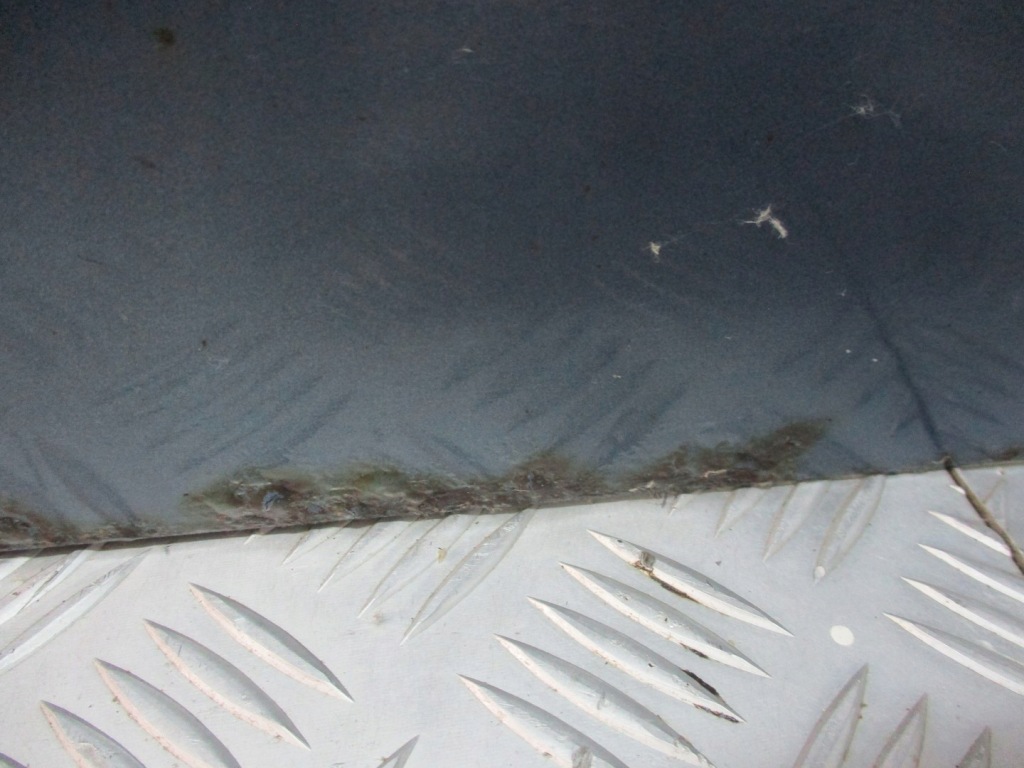 фото №3, Двері правий перед opel meriva a z21t