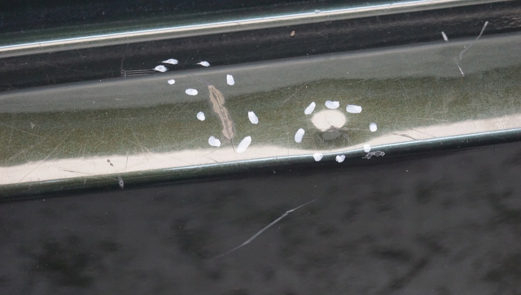 фото №6, Крышка багажника нижняя борт volvo xc90 i