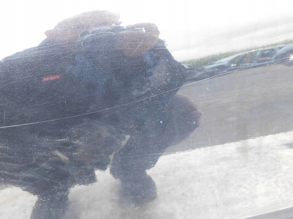 фото №7, Volvo v70 2.4 d5 2002r двері лівий перед