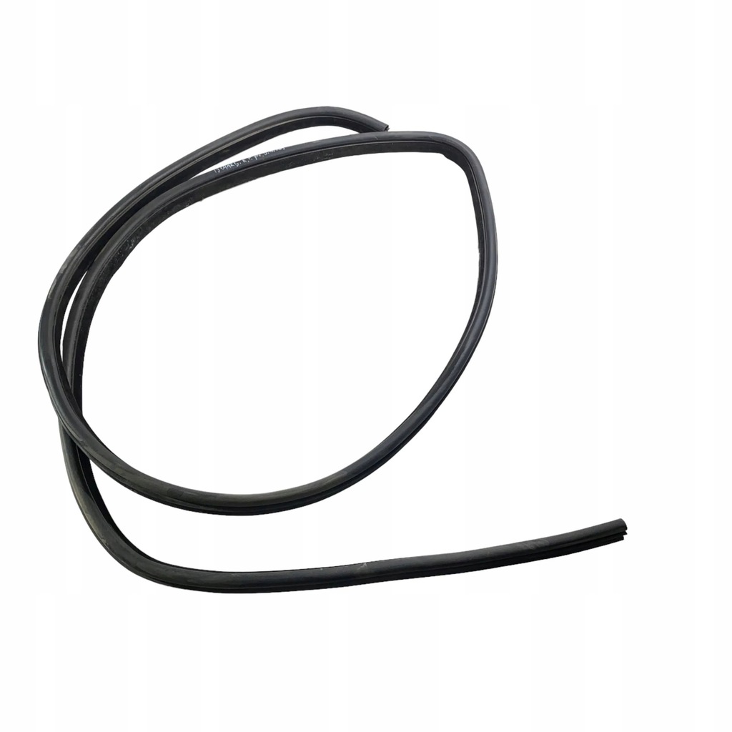 фото №1, Dodge charger 2019 левая сторона уплотнители