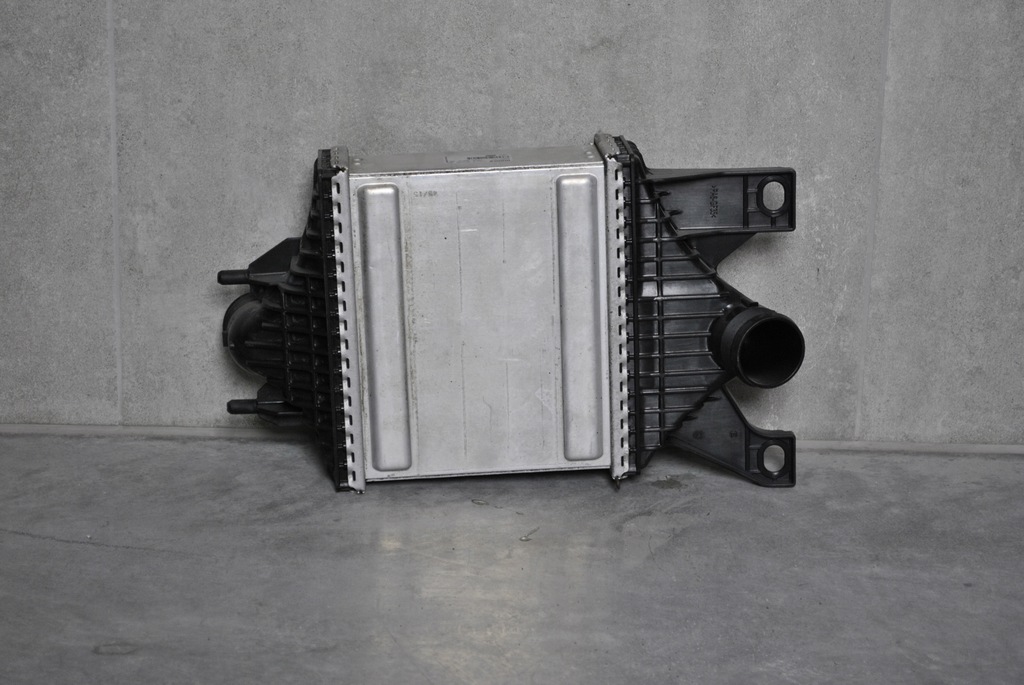 фото №2, Інтеркулер range rover sport l494