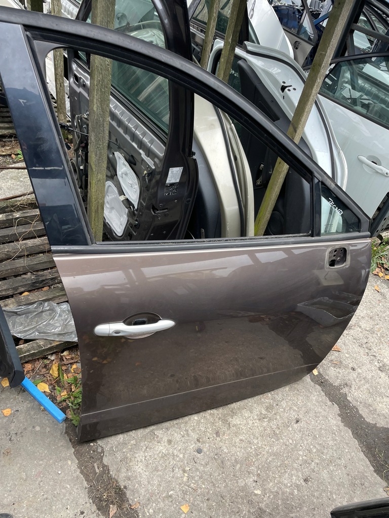 фото №1, Двері перед scenic iii tecnb