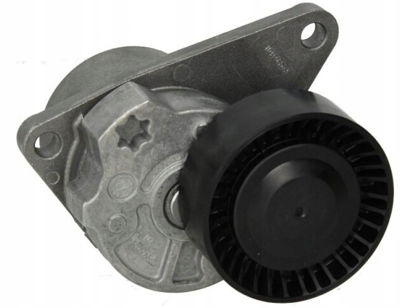 фото №1, Натяжитель renault safrane ii 534010310