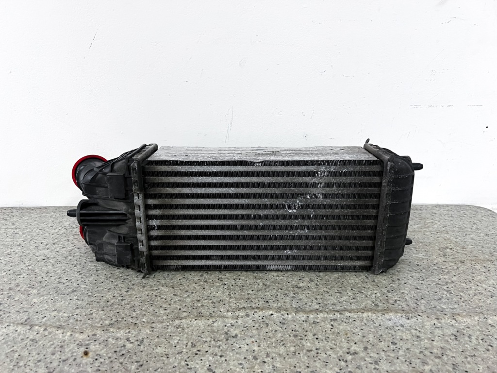 Купить Интеркулер peugeot citroen 983900780