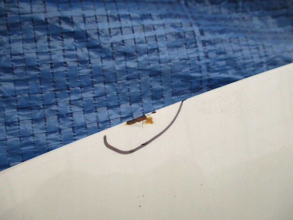 фото №8, Капот крышка двигателя mitsubishi outlander ii lift цвет 74p