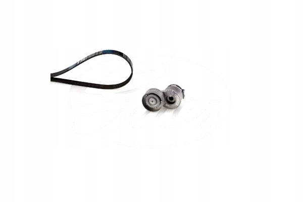 фото №3, Набір ремені багаторучейкових з ролики renault grand scenic ii grand