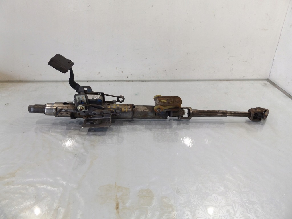 фото №4, Leon i колонка кермова