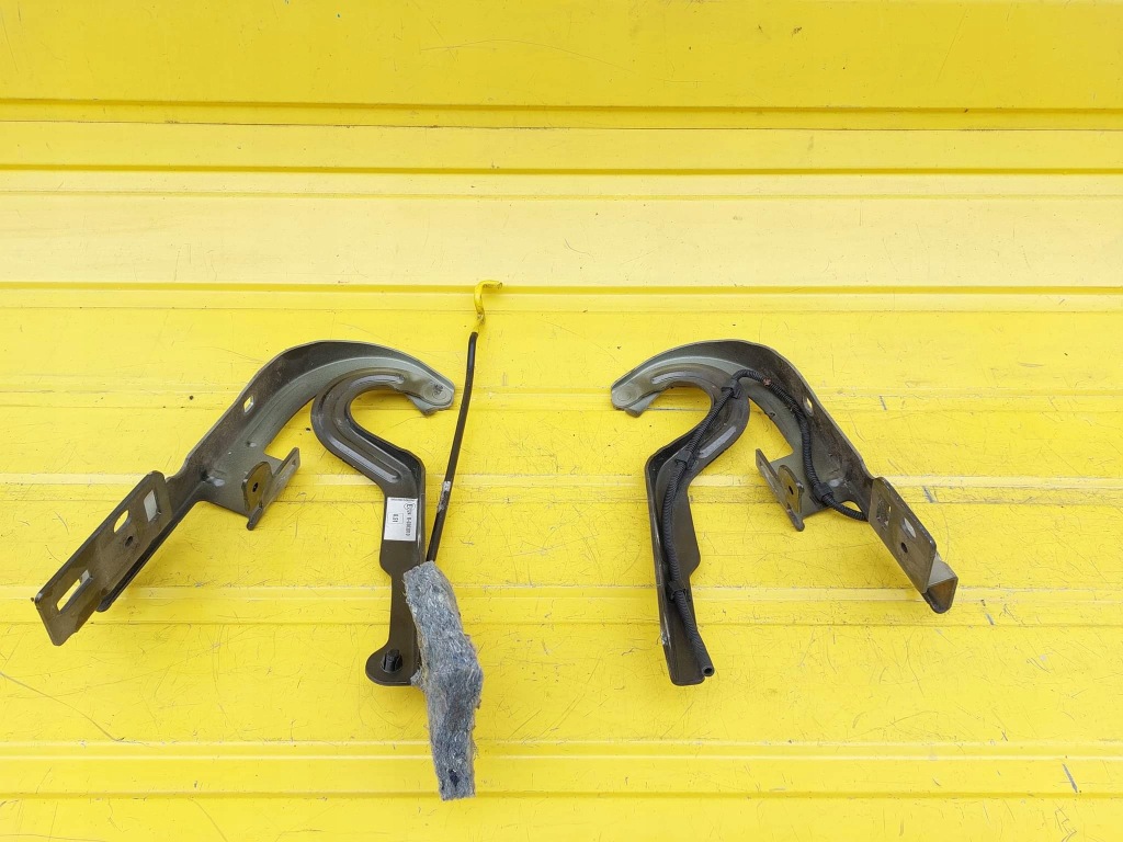 фото №1, Peugeot 3008 петли капот 5008 kdkd i перед правый