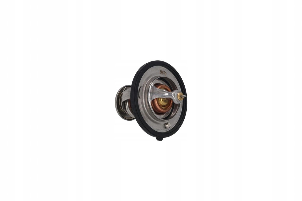 фото №1, Термостат вкладиш kamoka