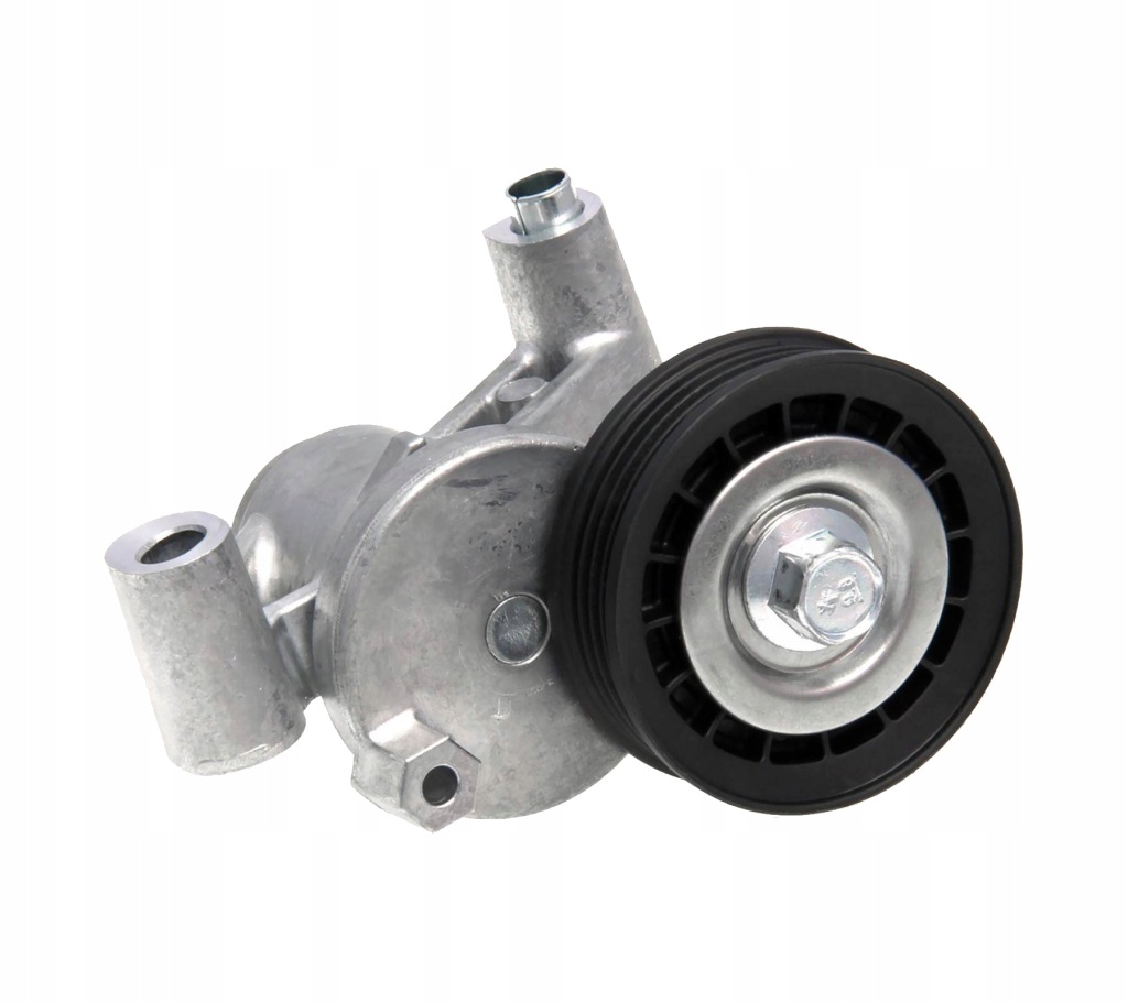 Купить Натяжитель ремень многоручейковый. ford 2,0/2,3st/rs