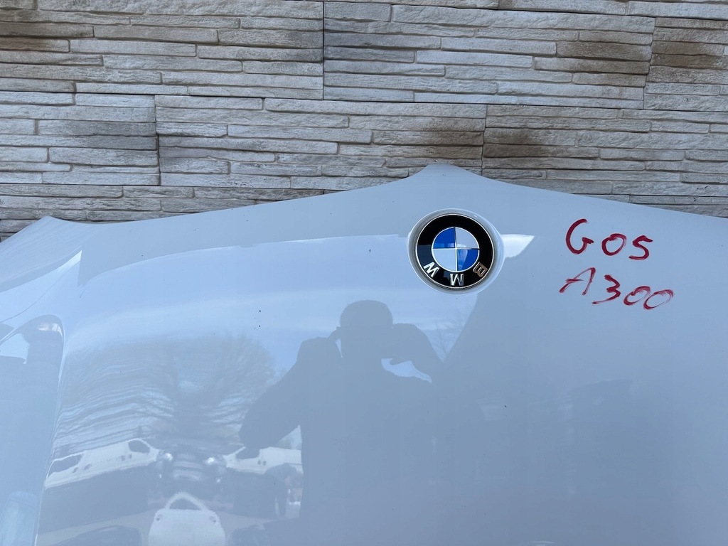 фото №14, Капот крылья бампер лампа pas радиатор радар bmw x6 g06 lci lift a300