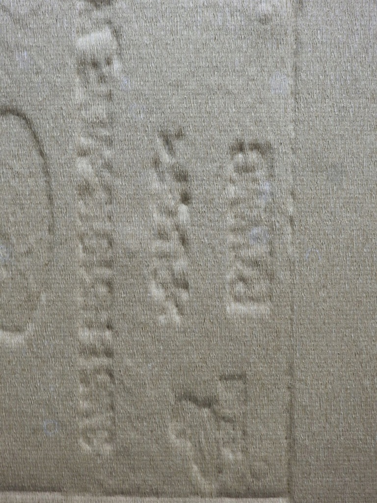 фото №11, Потолок ford c-max