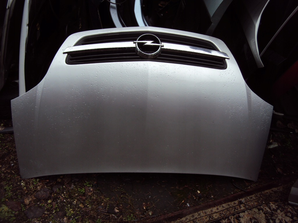 фото №1, Капот решітка радіатора meriva a z157