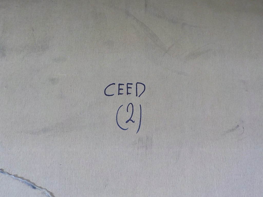 фото №6, Kia ceed 18- потолок