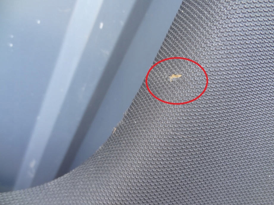 фото №5, Потолок потолок панорама audi a6 s6 rs6 allroad c7 4g9