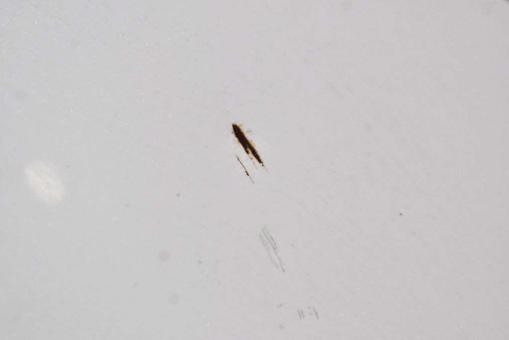 фото №5, Капот крышка двигателя белый honda civic 9 ix 11-16