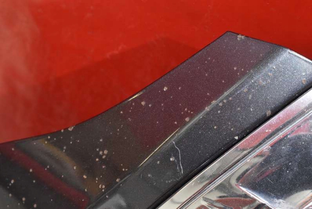 фото №6, Капот крышка двигателя 1e2 toyota avensis verso 01-03