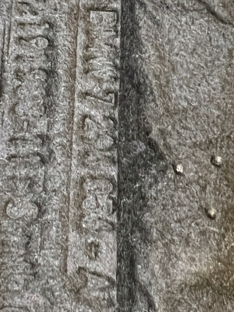 фото №8, Шумоизоляция обшивка багажника правое правый bmw 2 f22