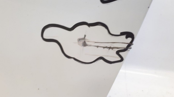 фото №3, Renault clio 2014 двері праве перед