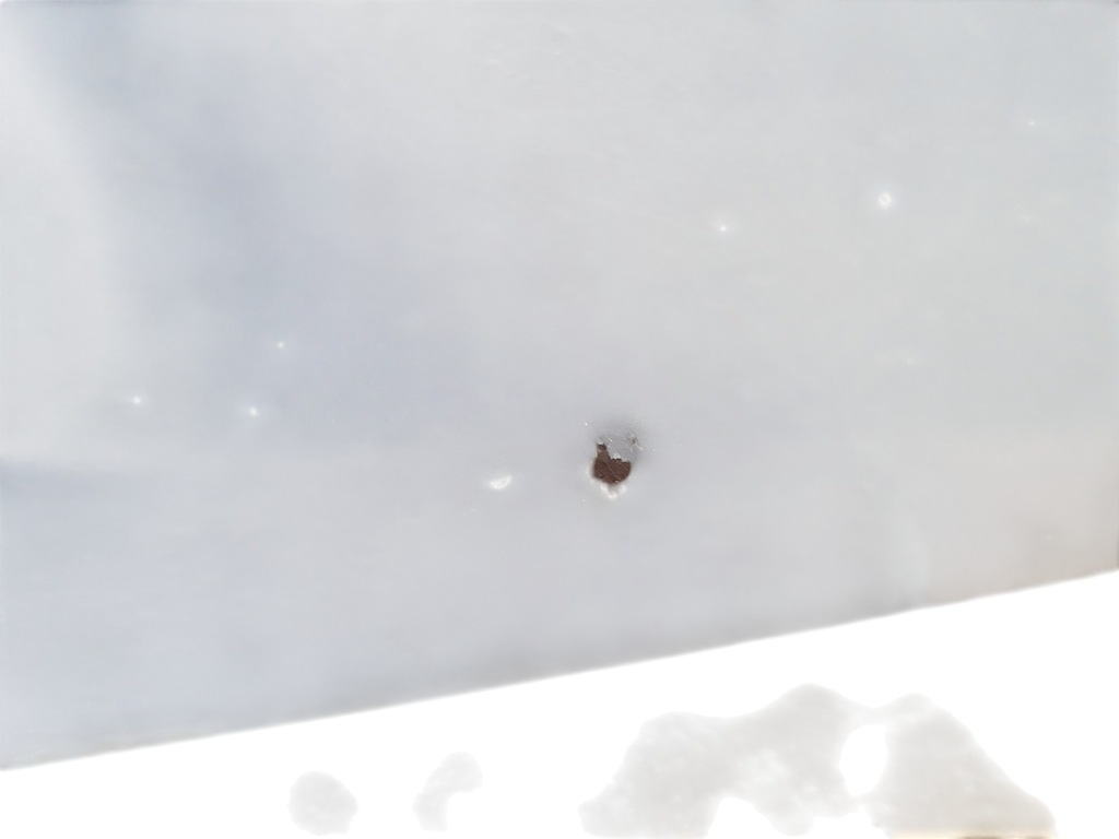 фото №5, Двері лівий перед opel insignia a 08-13