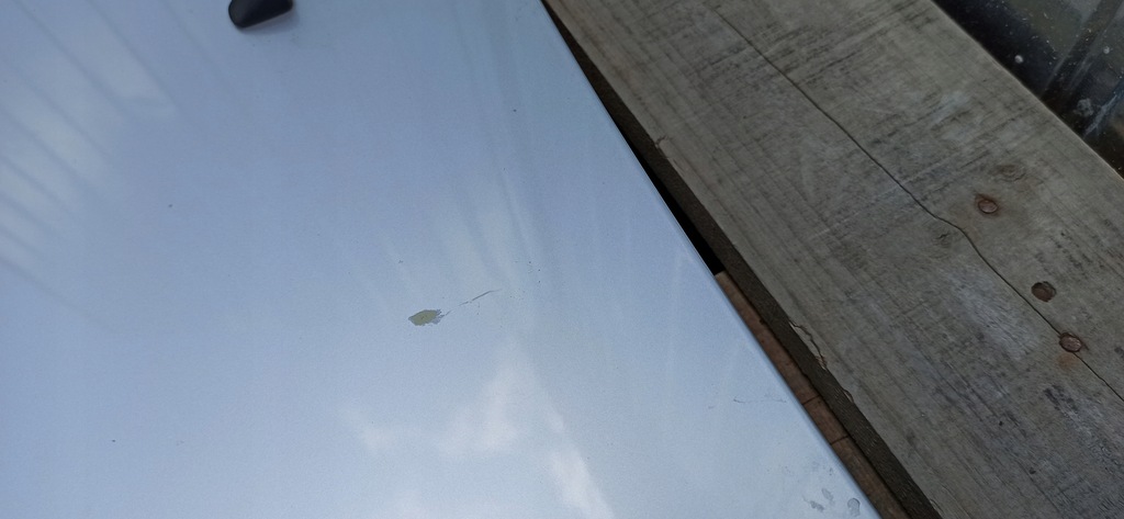 фото №12, Капот kia sedona ii lift 09-12 оригинальный лак