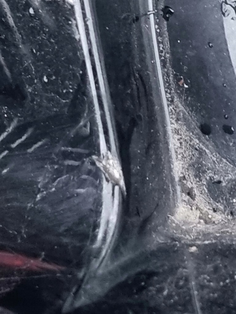 фото №7, Ford kuga mk3 st line бампер задній задня