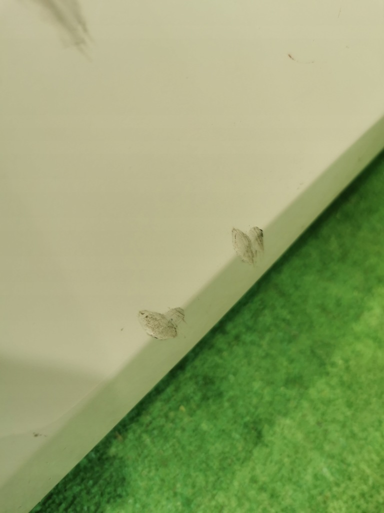 Бампер задняя задний porsche 991 911 targa 4 gts 991505411 Доставка