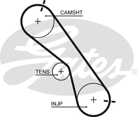 фото №3, Ремінь розподільного валу gates 5560xs