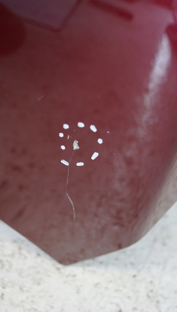 фото №10, Volvo s60 капот кришка 353-22