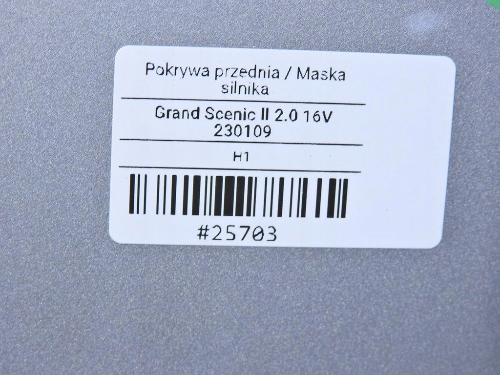 фото №6, Капот ted69 renault scenic ii