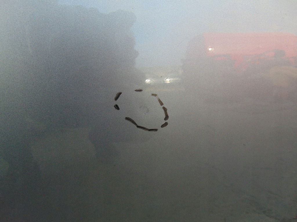 фото №8, Дверь правый перед hyundai i20 1 lift 2012-2014 цвет sag