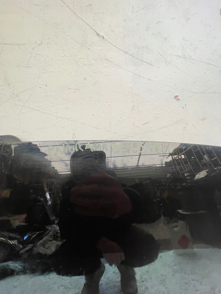 Стекло панорама tesla s Доставка