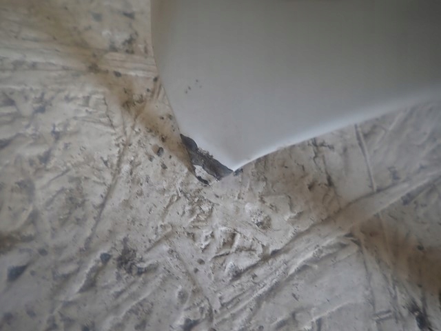 фото №6, Капот крышка двигателя hyundai tucson 3 iii 2015-