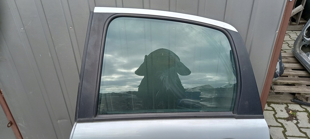 фото №4, Двері лівий задня citroen c3 05r 5r