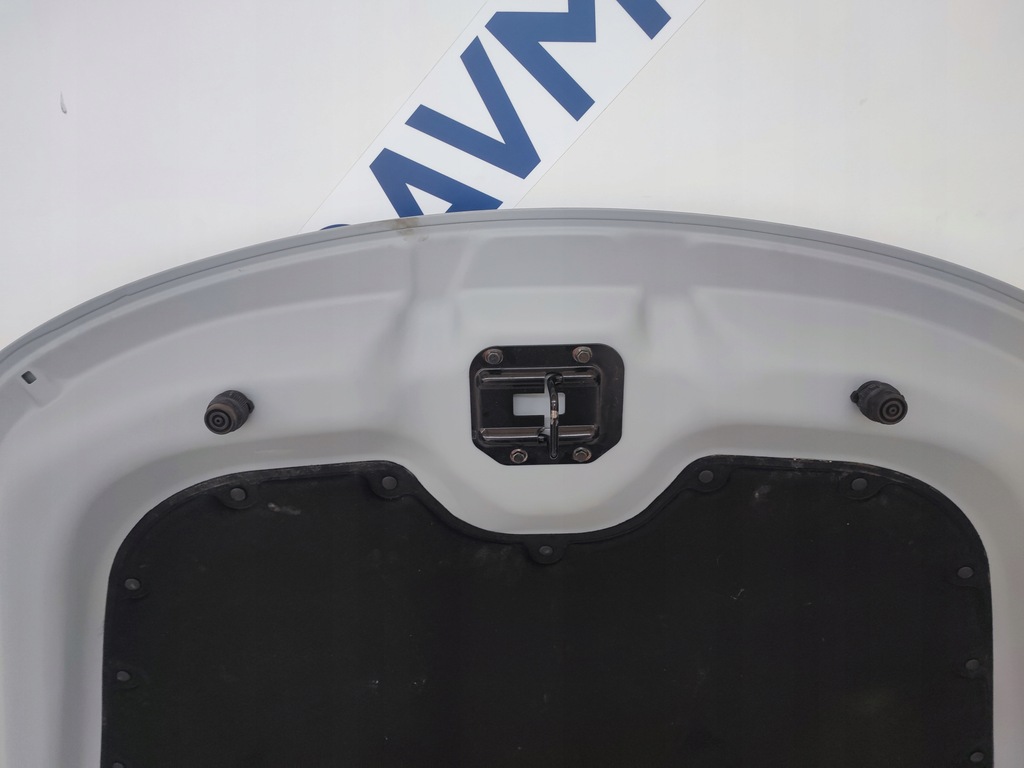 фото №10, Капот ferrari roma f169