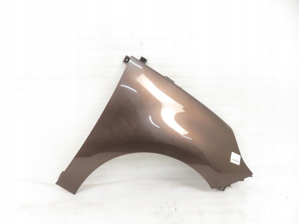 фото №1, Крила правий передній renault scenic iii jz0/1_ tecnb