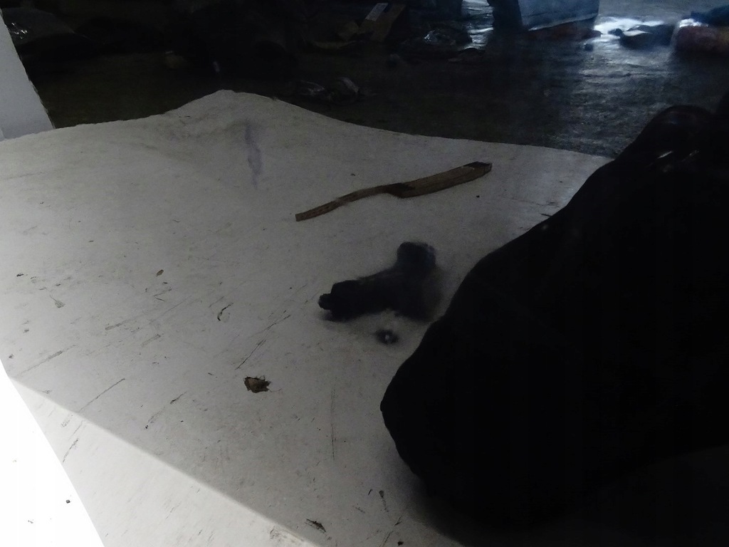 фото №13, Двері лівий задня ліва задні skoda superb iii sedan lf9r