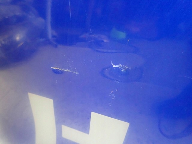 фото №7, Кришка багажника задня кришка toyota hilux 8 viii 2015-